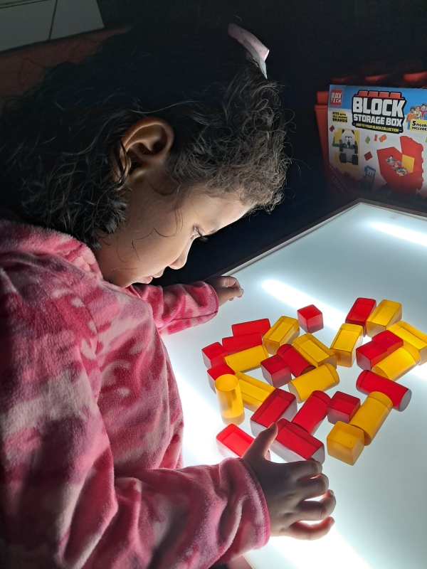 FOTO PROGRAMA PREBÁSICA