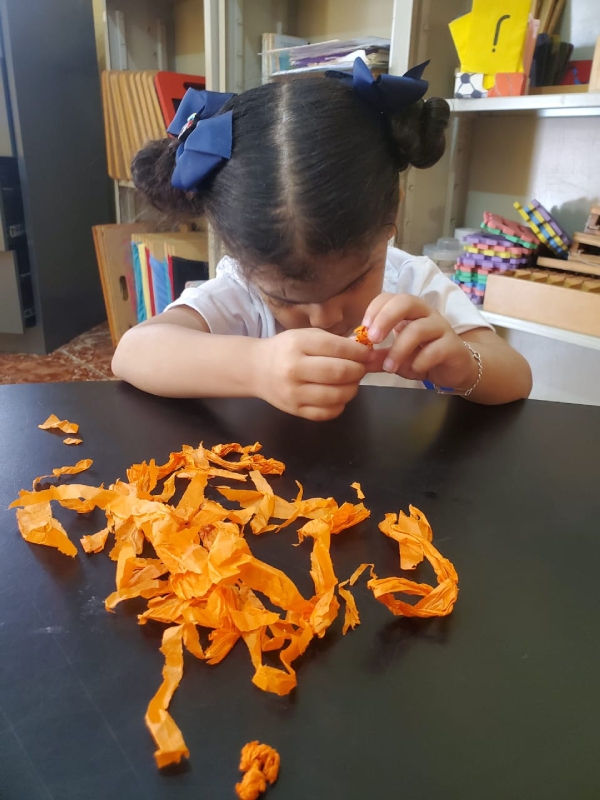 FOTO PROGRAMA PREBÁSICA