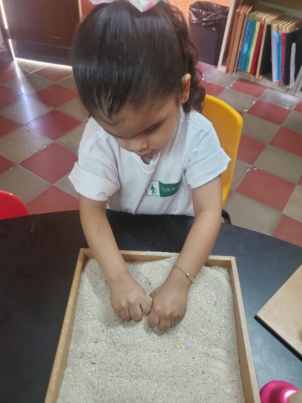 FOTO PROGRAMA PREBÁSICA