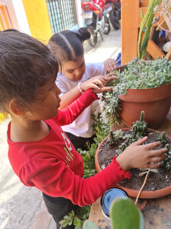 FOTO PROGRAMA PREBÁSICA