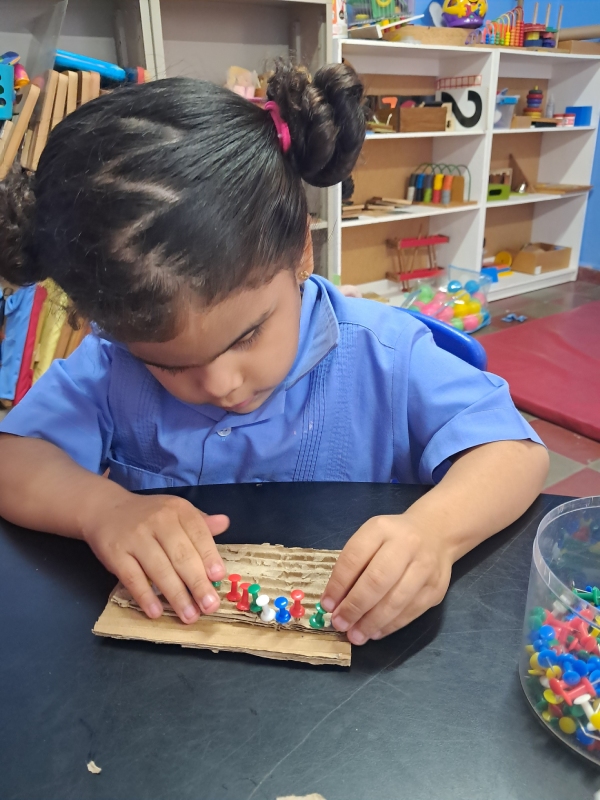 FOTO PROGRAMA PREBÁSICA