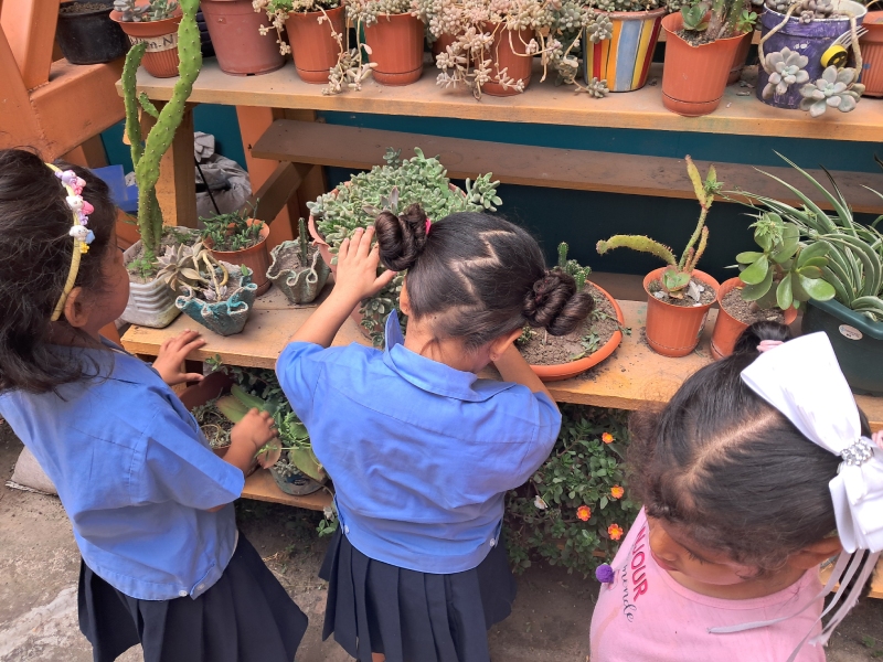 FOTO PROGRAMA PREBÁSICA