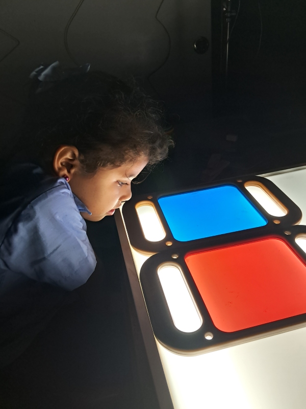 FOTO PROGRAMA PREBÁSICA