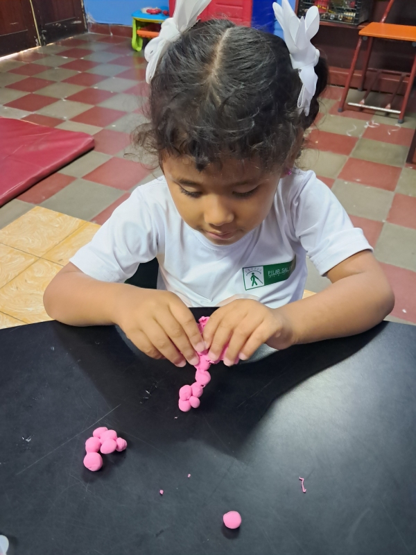 FOTO PROGRAMA PREBÁSICA