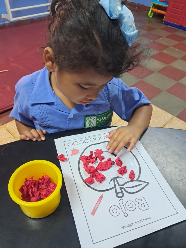 FOTO PROGRAMA PREBÁSICA