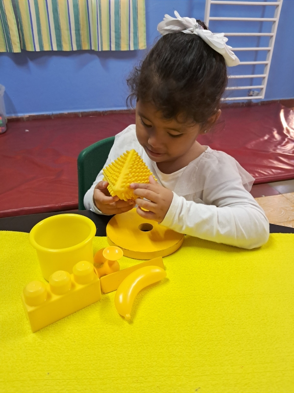 FOTO PROGRAMA PREBÁSICA