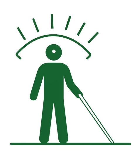 Logo Institucional Pilar salinas